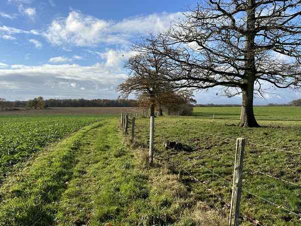 Nous traversons maintenant le plateau agricole de Longuerue. Ce sont ici des chemins de plaine rectilignes, mais pas désagréables.