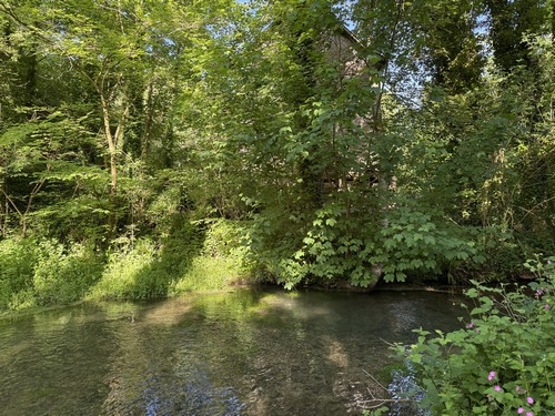 Ancien moulin sur la Saâne. Le site fait l'objet de modifications pour la gestion des crues et la circulation des poissons (suppression de la chute du moulin, comblement du bief, retour du lit en fond de vallée).