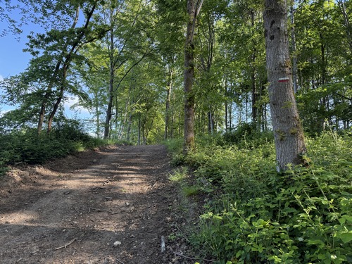 Sur la rive est, nous suivons le G212 en direction d'Anglesqueville.