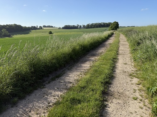 Nous n'entrons pas dans le bourg d'Anglesqueville, mais marchons maintenant vers le sud, sur le Chemin du Mont-Mirel, sur la colline entre Saâne et Traversin.
