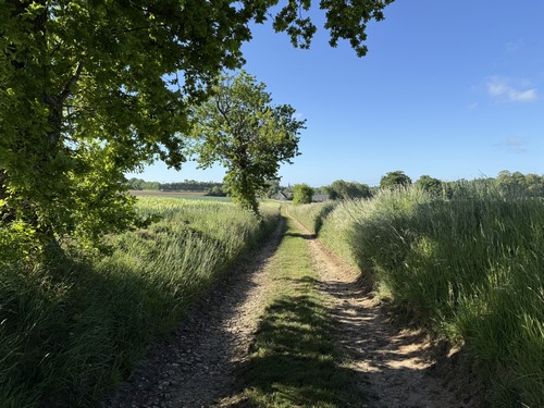 Chemin du Mont-Mirel en direction de Varvannes.