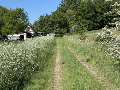 Nous arrivons à Bourdainville, nous allons entrer dans le bourg par le chemin du Bois de Chênes