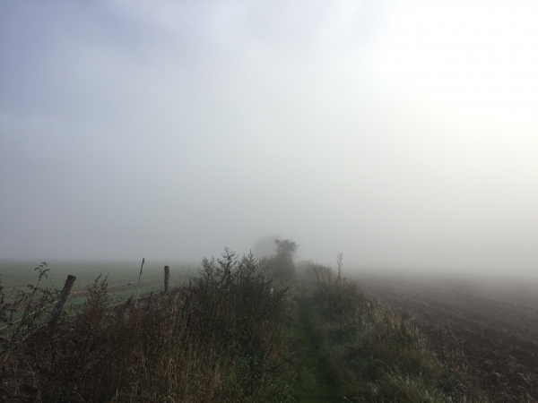 Chemin du Moulin au Catelier. Le moulin ruiné date du XVIe siècle. Il semble avoir été implanté sur une fortification disparue du haut moyen-âge. Le panorama du Catelier où nous nous trouvons est réputé pour son panorama sur la vallée de la Seine, mais nous ne verrons rien aujourd'hui...