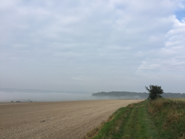 Au Mont d'Aulage, nous marchons en balcon au-dessus de la vallée de la Béthune.