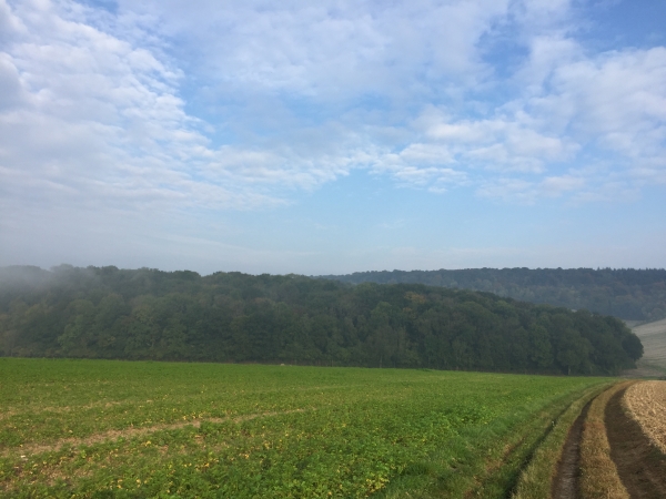 Nous marchons vers la Garenne aux Reuilles. Nous sommes sur le territoire de Mesnières-en-Bray.