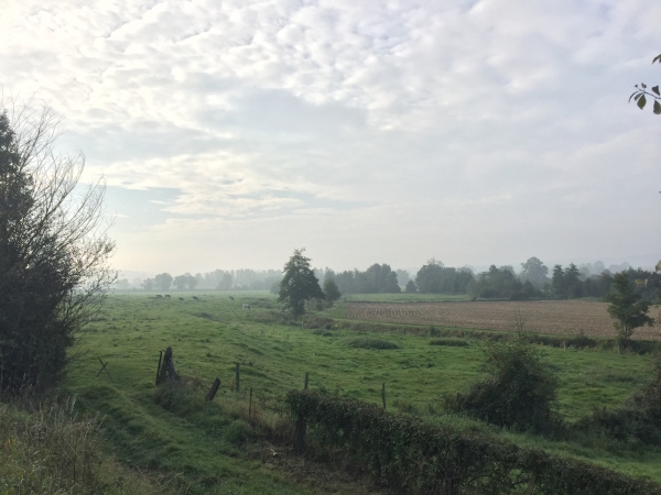 L'Avenue Verte longe la Béthune. Ce sont ces paysages qui nous font oublier que nous marchons sur une voie goudronnée et rectiligne...