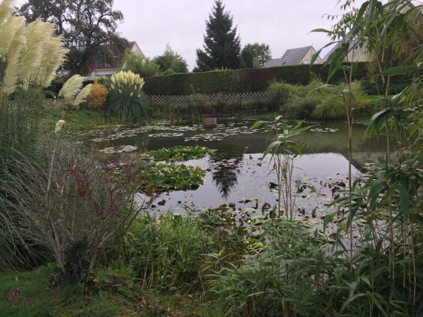 Nous partons du Clos des Poiriers à Bois-l'Evêque, près de la mare.