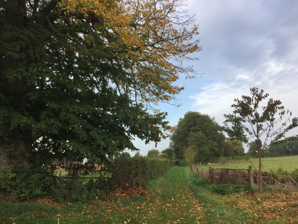 Nous commençons par suivre le charmant Sentier de l'Est.