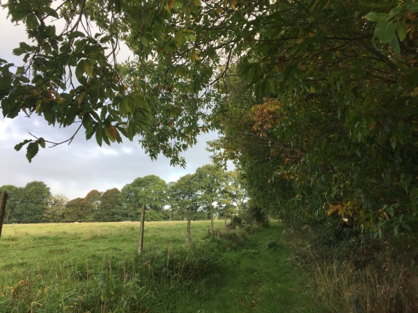 Nous entrons dans Martainville-Epreville par les chemins.