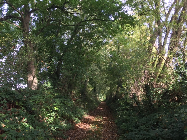 Après ce chemin, la trace GPS montre un aller-retour inutile sur la D13. Nous cherchions un chemin le long du château, présent sur la carte mais disparu maintenant.