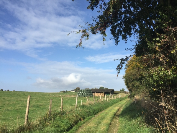 Nous suivons maintenant le chemin du Mouchel en direction d'Auzouville-sur-Ry.