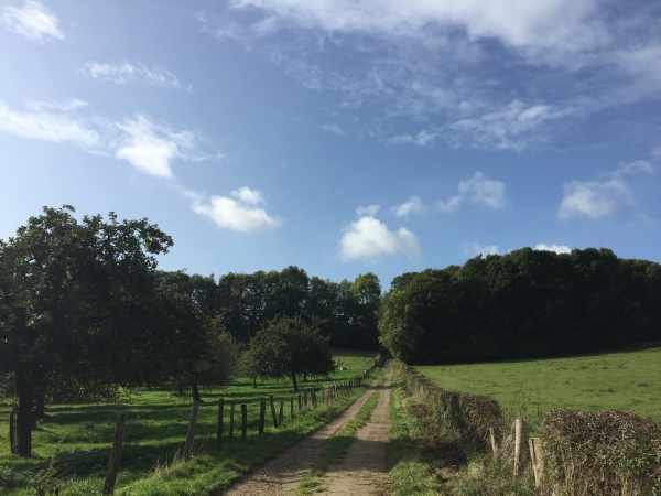 Nous entrons dans Auzouville-sur-Ry par le chemin de la Côte.