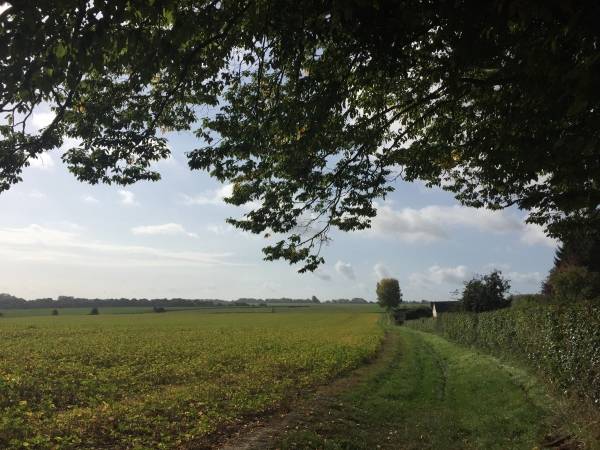 Sente aux Pinchons à la sortie d'Auzouville-sur-Ry.