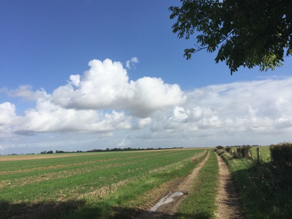 Nous retrouvons Bois-l'Evêque par les chemins de la Plaine des Hauts Champs.