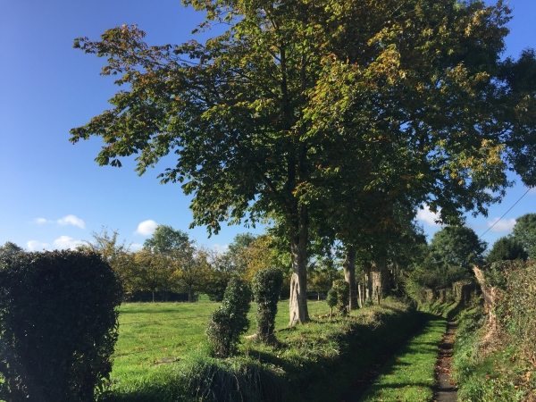 Au hameau de Hucleu, nous descendons vers le Grand Chemin d'Hucleu.