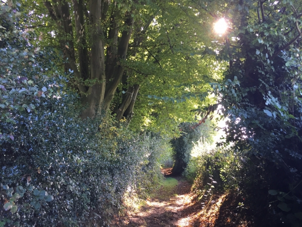 Grand Chemin d'Hucleu, chemin creux pendant sa descente de la colline.