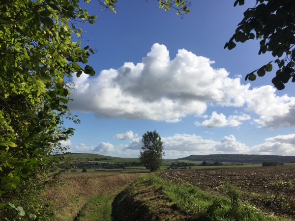 Nous sortons du bois, notre chemin descend vers la vallée de l'Andelle où nous retrouverons notre point de départ.