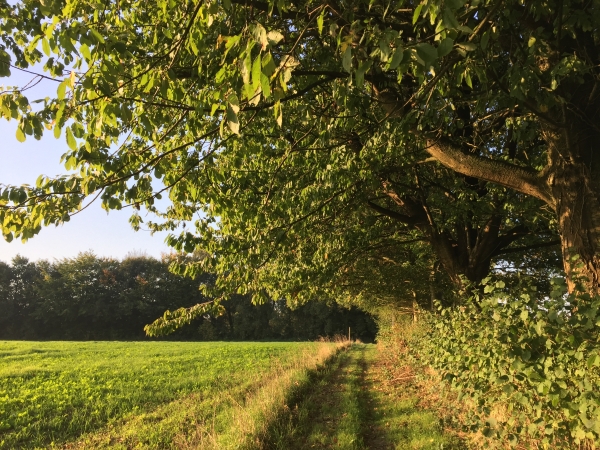 Nous partons vers le sud en suivant le GR212.