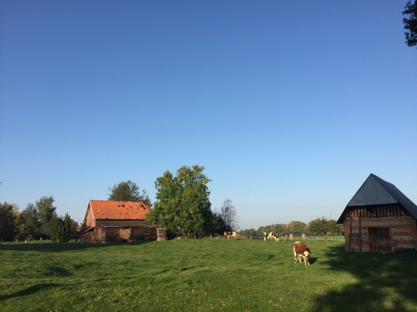 Nous quittons le GR212 aux Hagues.