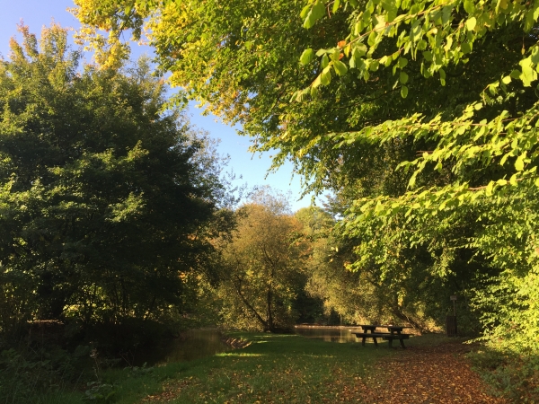 Nous prolongeons un peu notre marche au-delà de la route des Mares pour découvrir cette bulle de charme. Un espace idéal pour faire une pose !
