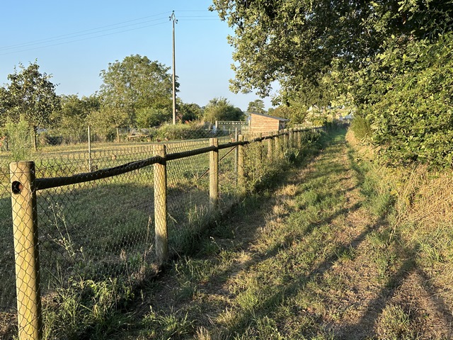 Nous sortons de Muids par une agréable successions de chemins, entre champs et bois.