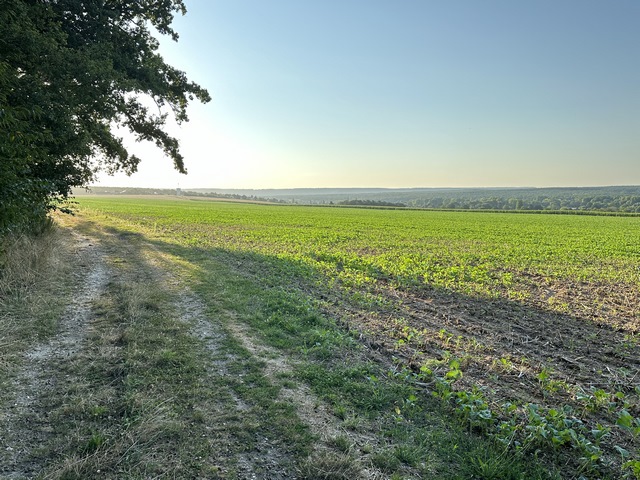 Nous longeons le bois Hubert sur le GR2 en direction de la Ferme Blanche.