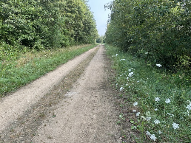Nous longeons maintenant les carrières de Muids (photos dans l'album) en direction de Fretteville.