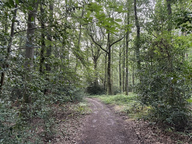 Le chemin vers la Roquette traverse le bois Collet.