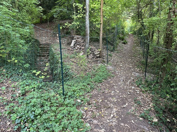 Le chemin traverse le domaine Louis Renault (1700 hectares), et des escaliers relient la falaise au bord de Seine en passant sous notre chemin.