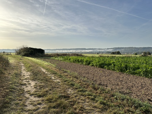 Je sors d'Andé par le chemin des Champs Haley. Au loin, la longue bande blanche de la brume matinale désigne le lit de la Seine.