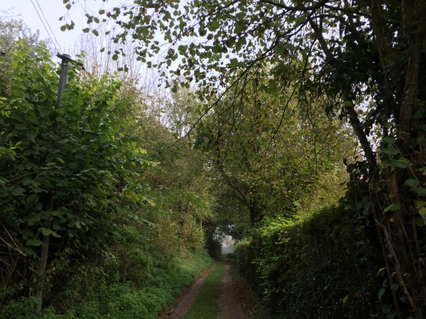 Nous prenons le chemin de la filature. Près de 80 ouvriers y travaillaient au XIXe siècle, le chemin est désormais beaucoup moins fréquenté.