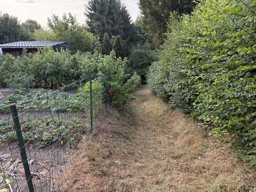 Dès la sortie du bourg, nous suivons ce chemin qui descend vers l'église.