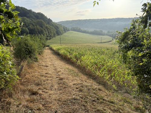 Nous passons au-dessus du château et redescendons vers la Lieure, avec un beau point de vue sur la forêt de Lyons.