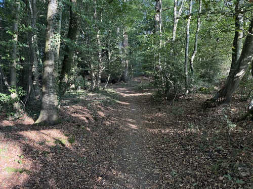 Après l'Essart-Mador, nous retrouvons les chemins en forêt domaniale.