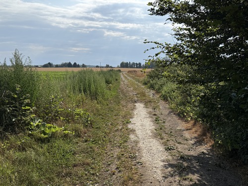Nous débouchons de la forêt à proximité de la rue Principale de Rosay-sur-Lieure.