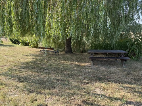 Aire de détente en bordure de la rue Principale, en face d'une mare disparue sous la végétation.
