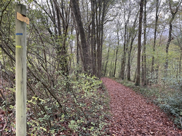Le chemin traverse les bois entre le Bois de Radepont et celui de Bonnemare. Pas de risque de se perdre sur les chemins de ces bois : le balisage jaune que je suis est assez régulier.