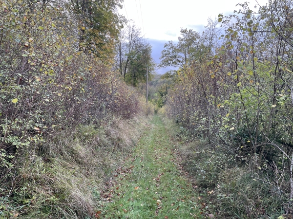 Je traverse un vallon avant de continuer la montée vers Bonnemare.