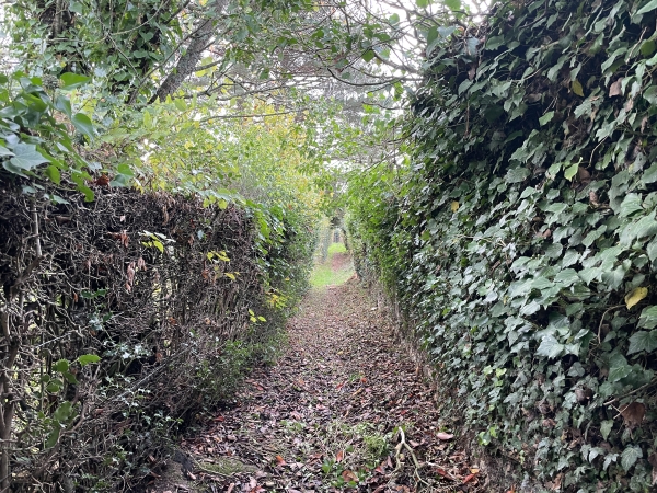 Je traverse le hameau de Bonnemare par ce chemin qui longe le mur du château.