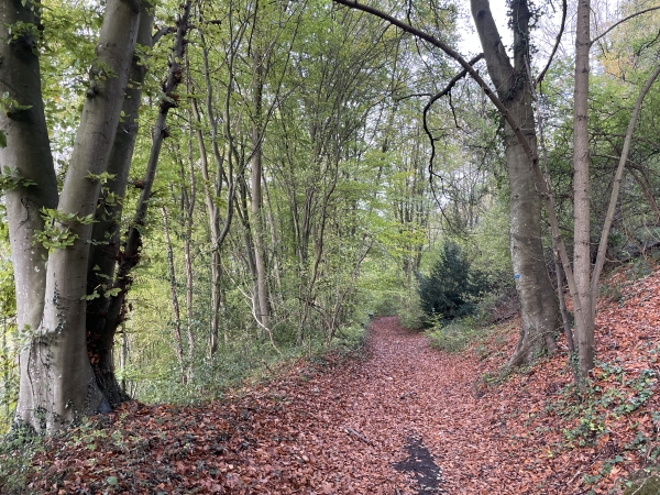 Je descends vers la Vallée Groult.