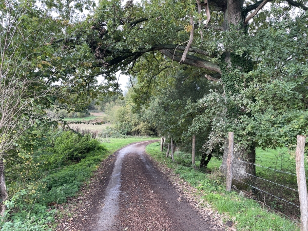Me voilà dans la vallon où je trouve la petite route qui dessert la ferme de la Vallée Groult.