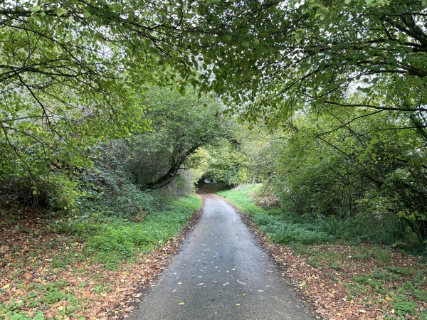 Je monte vers la route du Bois du Chapitre.