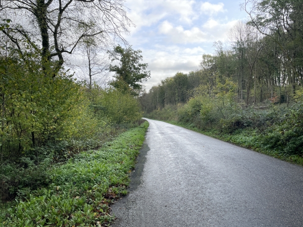 Je rejoins la route de la Neuville.