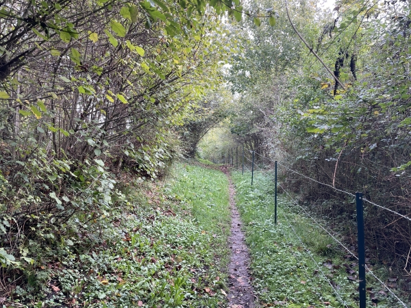 Juste avant d'entrer dans Radepont, je quitte la route de la Neuville pour suivre le Sentier de Monsieur.
