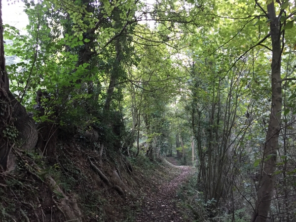Pont-Audemer, sentier du Petit-Val.