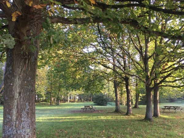 Nous arrivons à Manneville-sur-Risle et traversons son arboretum.
