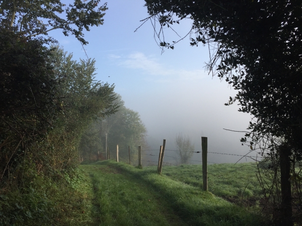 Nous arrivons sur le chemin qui va nous conduire jusqu'à Saint-laurent.