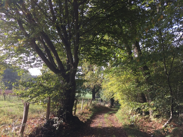 Nous avons rejoint le GR224 Rive Gauche. Nous allons le suivre jusqu'à Pont-Audemer.