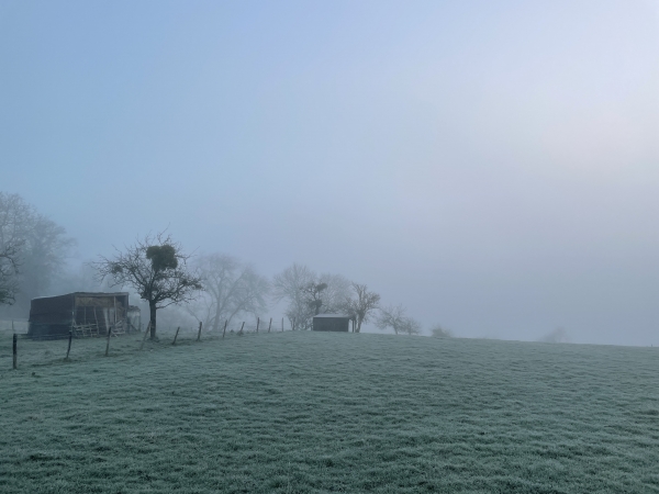 Nous devrions avoir un panorama sur la Seine, c'est raté pour aujourd'hui. (Voir les photos de 2017 sur l'album de la rando)