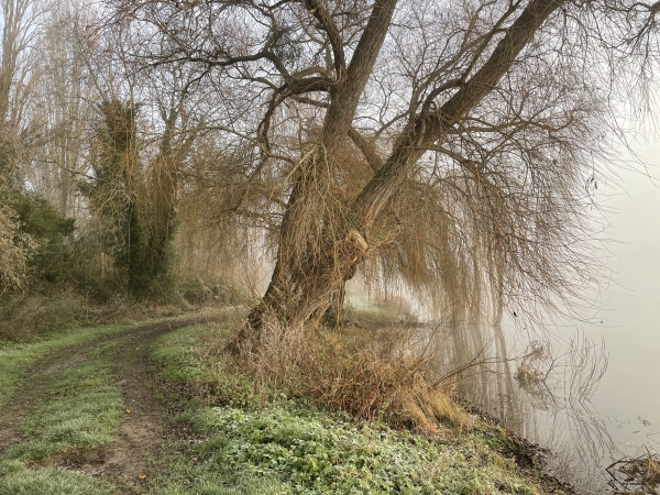 Nous suivons le chemin de la Digue, le long de la Seine, jusqu'à Porte-Joie.